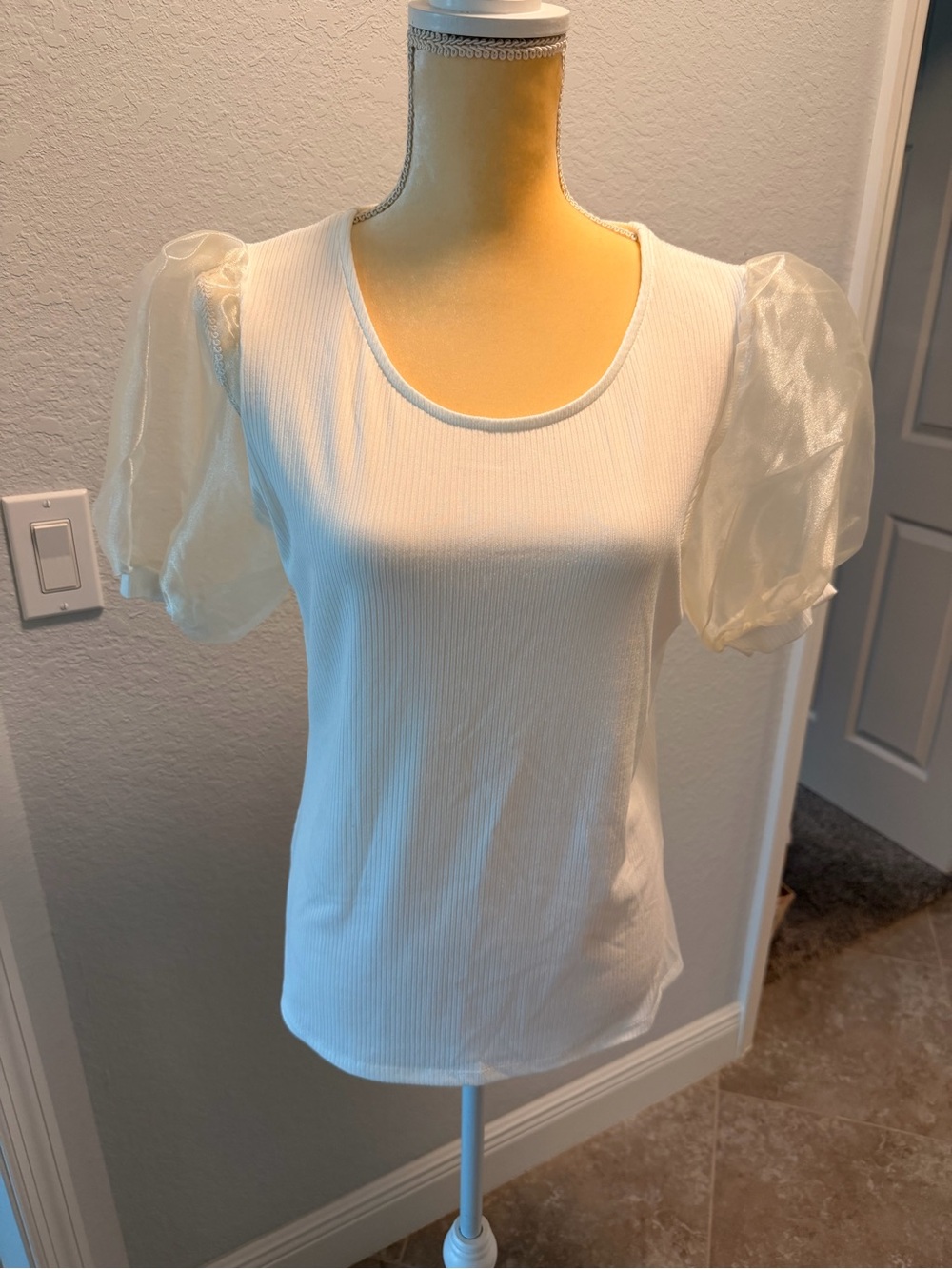 Express Sheer Puff Sleeve Top